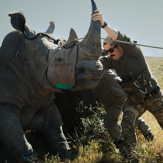 Person interacting with a rhinoceros in a natural setting